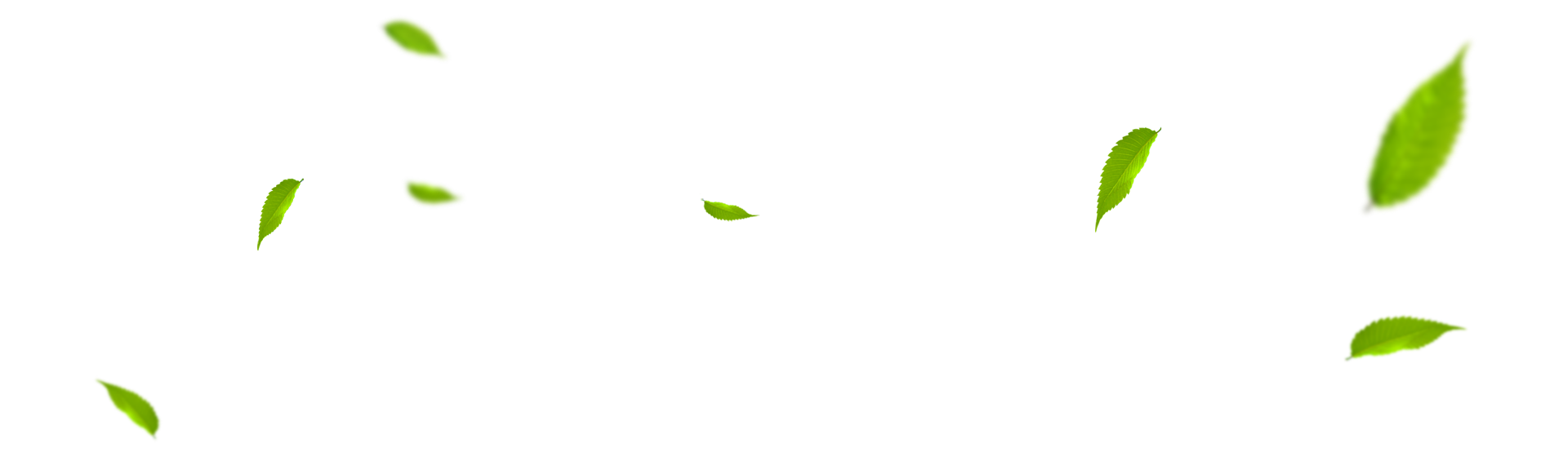 石油公司